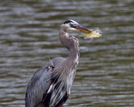  税费优惠引导绿色转型，中国经济迈向低碳新路径。 股票财经 税费优惠引导绿色转型，中国经济迈向低碳新路径。 股票财经