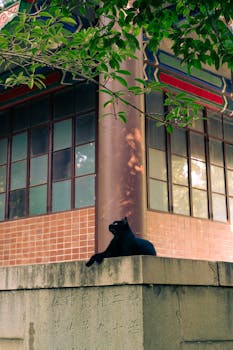  从推销电话到判决书；一条操控评价的黑产链如何被斩断。 新闻 从推销电话到判决书；一条操控评价的黑产链如何被斩断。 新闻 从推销电话到判决书；一条操控评价的黑产链如何被斩断。 新闻