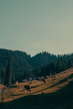 场景持续渗透,数字人民币应用成效逐步显现;多地数据亮眼,差异化路径日益清晰。 IT技术 场景持续渗透,数字人民币应用成效逐步显现;多地数据亮眼,差异化路径日益清晰。 IT技术 场景持续渗透,数字人民币应用成效逐步显现;多地数据亮眼,差异化路径日益清晰。 IT技术