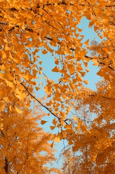 黄金市场高位震荡加剧;ETF资金出现阶段流出;长期配置价值仍获认可。 股票财经 黄金市场高位震荡加剧;ETF资金出现阶段流出;长期配置价值仍获认可。 股票财经