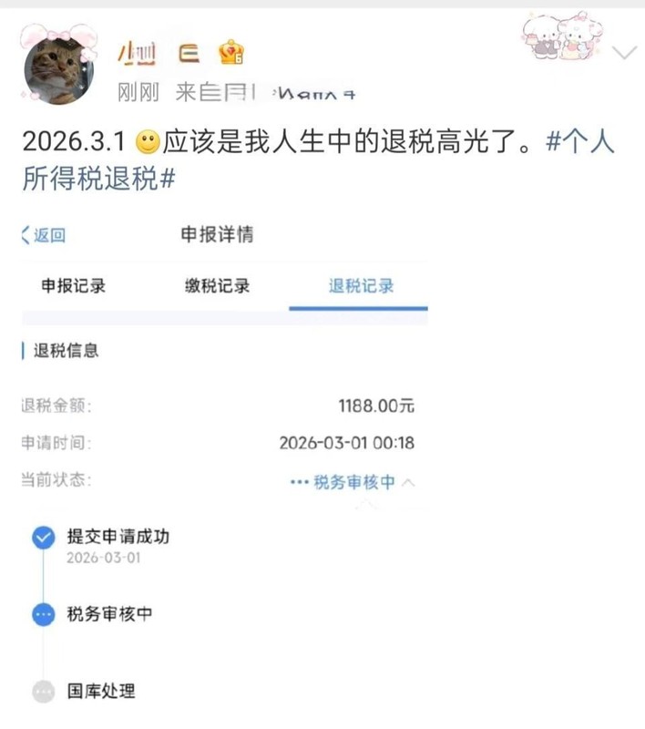  个税汇算清缴首日网友晒退税额，有人退税上万元有人需补缴 新闻