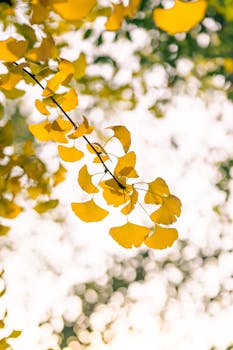 宁波银行“换帅”庄灵君将接棒董事长 总资产3.63万亿不良率连续8年低于0.8百分号 新闻