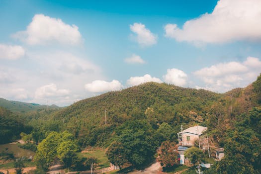 2月就业报告即将出炉，经济学家预计就业将稳步增长 新闻