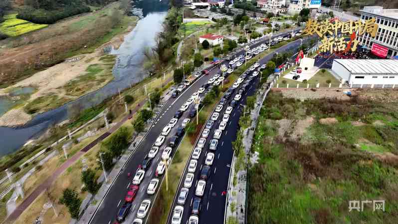  春风送暖，就业护航；贵州专列专车齐发力，点对点助万千劳动者返岗启新程。 新闻