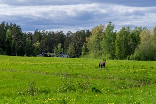 中哈物流通道升级，葵花籽油出口迎来新机遇。 股票财经