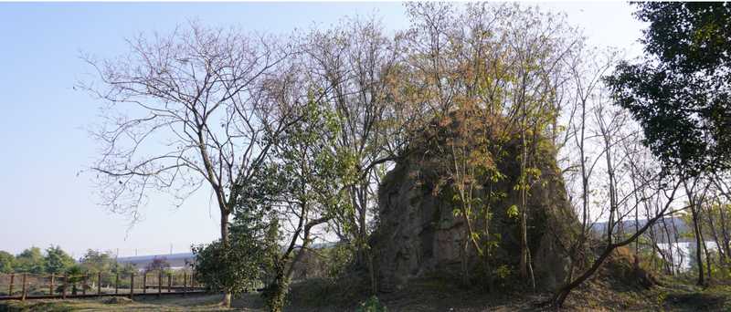  技术深度：苏州阳澄湖畔的史前高台，千年土遗址保护难题如何破局 文化旅游