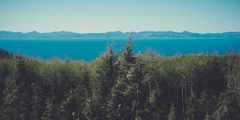  数据新闻的技术解构：The Markup如何用非技术资源赢得设计奥斯卡 IT技术