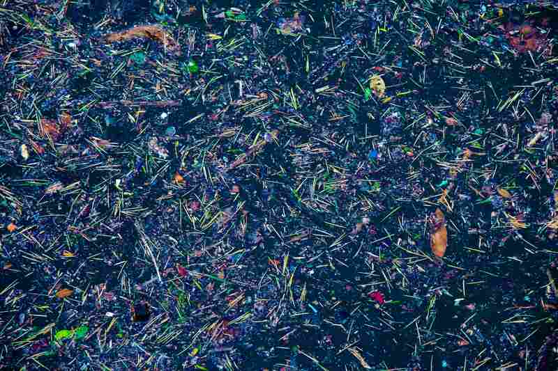 数据新闻的技术解构：The Markup如何用非技术资源赢得设计奥斯卡