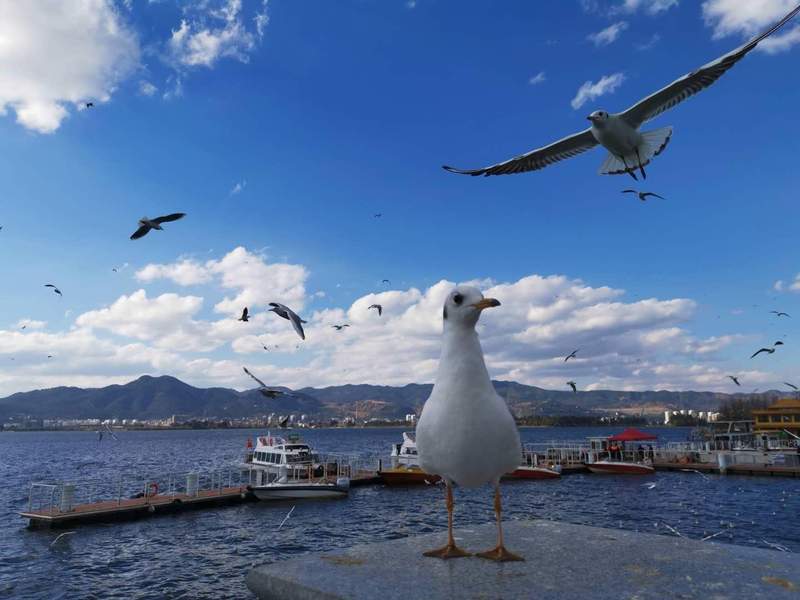  【深度拆解】情绪经济万亿赛道：四大驱动力与2029年4.5万亿市场预测模型 股票财经