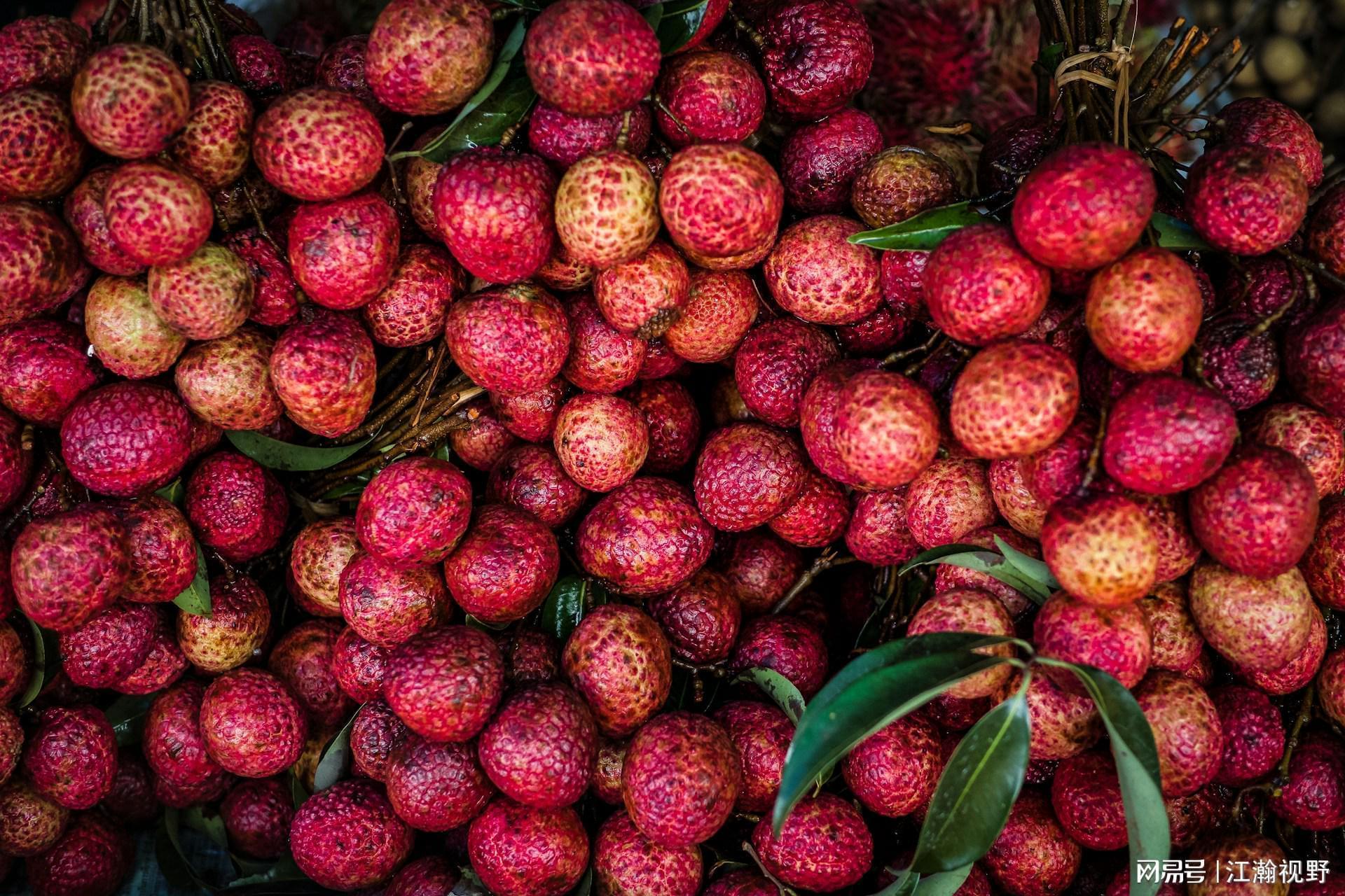  荔枝涨价的技术迷局：从大小年规律到气候危机的深度解码 股票财经