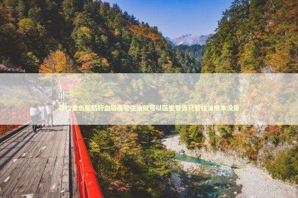 体检查出脂肪肝血脂高管住油就可以医生警告只管住油根本没用 新闻