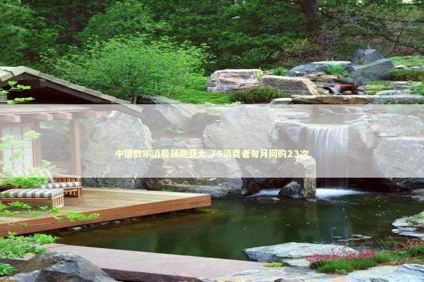 中国数字消费领跑亚太 79消费者每月网购23次 中国数字消费领跑亚太 79消费者每月网购23次 新闻