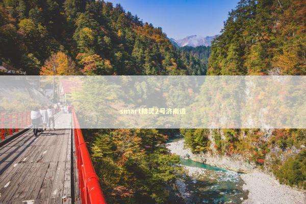 smart精灵2号济南造 新闻