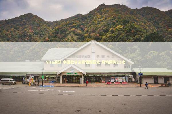 Visa调研 中国数字消费领跑亚太 月均网购23次 新闻