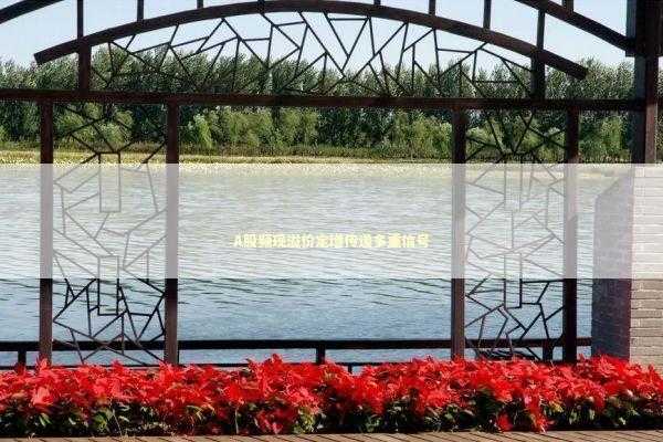 A股频现溢价定增传递多重信号 新闻