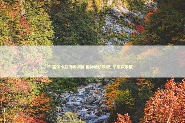 霍尔木兹海峡停航 国际油价飙涨_平淡叙事型