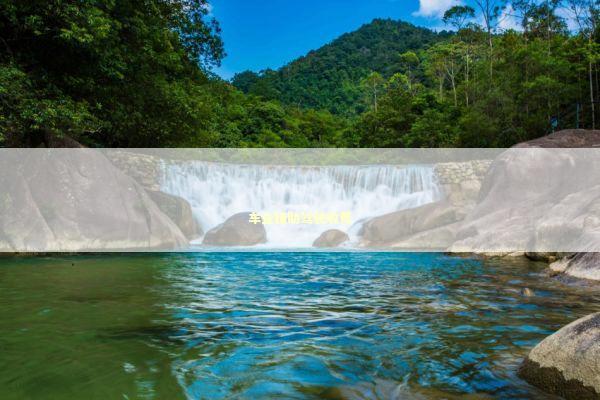 车企辅助驾驶收费 新闻