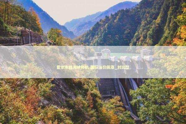 霍尔木兹海峡停航 国际油价飙涨_对比型 新闻