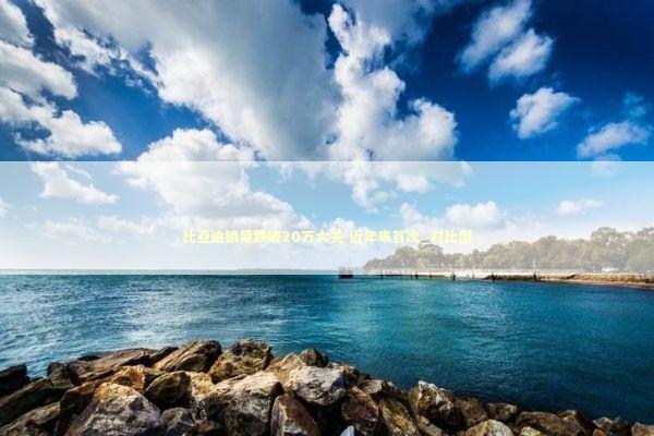 比亚迪销量跌破20万大关 近年来首次_对比型 新闻