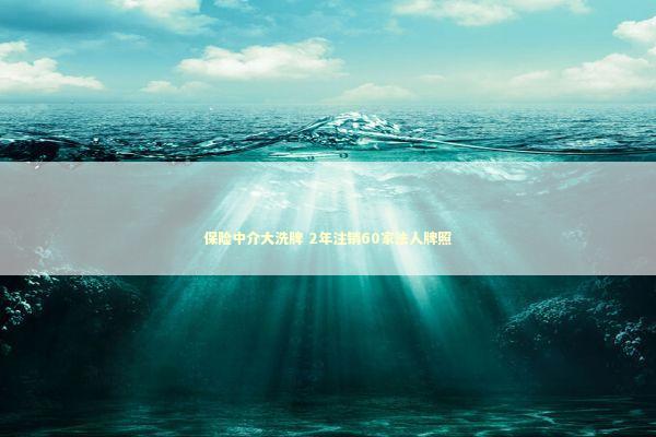保险中介大洗牌 2年注销60家法人牌照 保险中介大洗牌 2年注销60家法人牌照 新闻