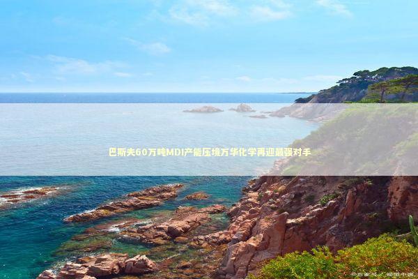 巴斯夫60万吨MDI产能压境万华化学再迎最强对手