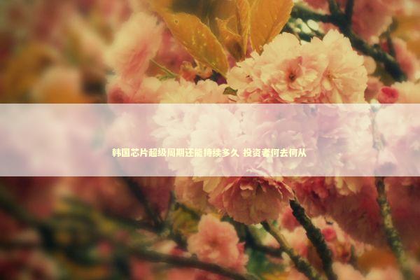 韩国芯片超级周期还能持续多久 投资者何去何从 新闻