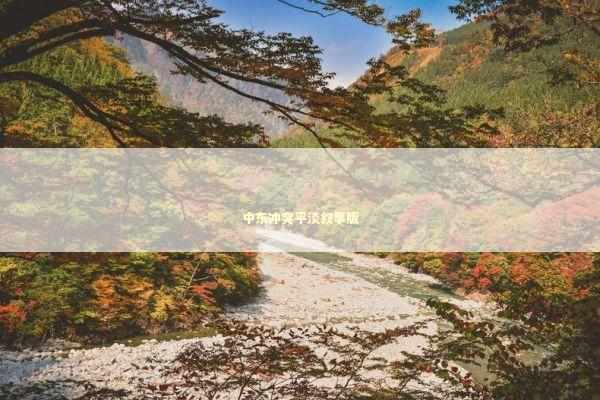 中东冲突平淡叙事版 中东冲突平淡叙事版 新闻