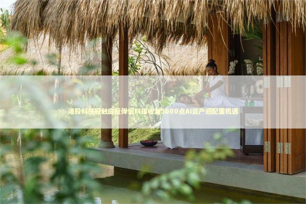港股科技股触底反弹恒科指收复5000点AI资产迎配置机遇 新闻