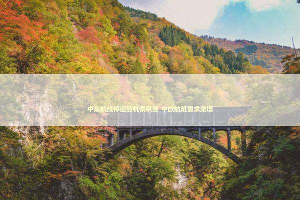 中东航线停运致机票飙涨 中欧航班需求激增 新闻