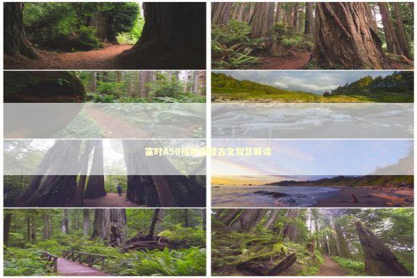 富时A50指数调整古文智慧解读