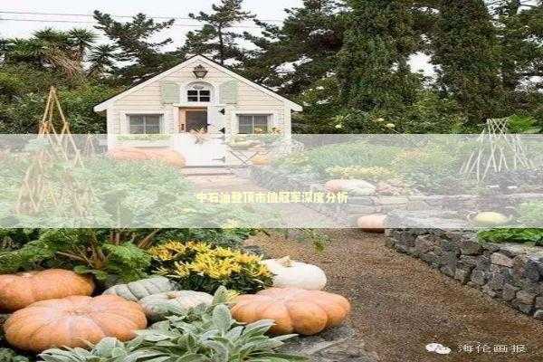 中石油登顶市值冠军深度分析