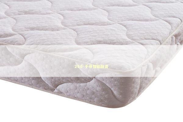 260-千寻智能融资