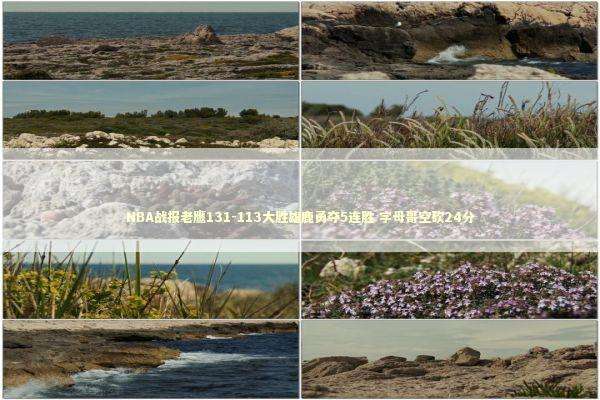 NBA战报老鹰131-113大胜雄鹿勇夺5连胜 字母哥空砍24分 新闻