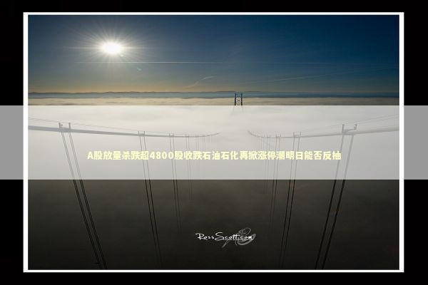 A股放量杀跌超4800股收跌石油石化再掀涨停潮明日能否反抽 A股放量杀跌超4800股收跌石油石化再掀涨停潮明日能否反抽 新闻