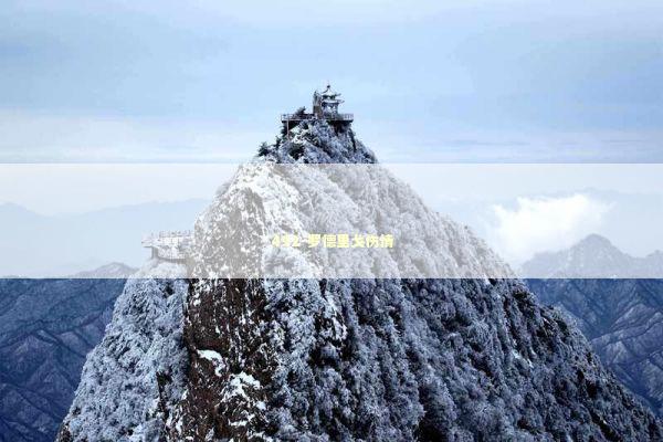 492-罗德里戈伤情 新闻