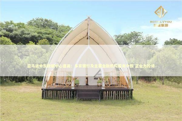 亚马逊中东数据中心遭袭：多家银行及主要金融机构服务中断 正全力抢修 新闻