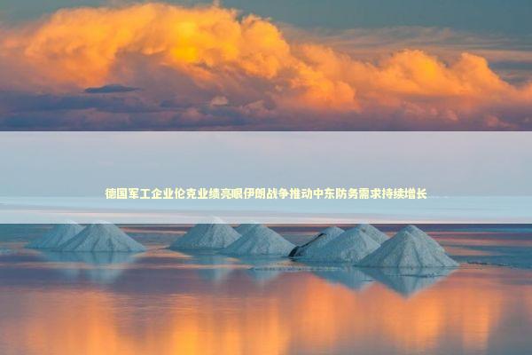 德国军工企业伦克业绩亮眼伊朗战争推动中东防务需求持续增长 新闻