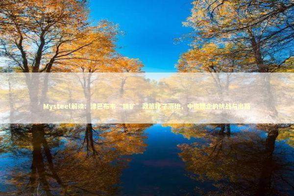 Mysteel解读：津巴布韦“锁矿”政策靴子落地，中资锂企的挑战与出路