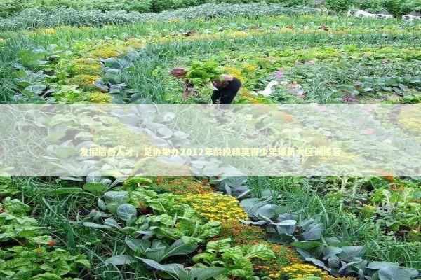 发掘后备人才，足协举办2012年龄段精英青少年球员大区训练营 新闻