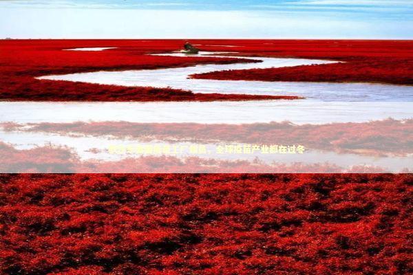 默沙东美国疫苗工厂裁员，全球疫苗产业都在过冬 新闻