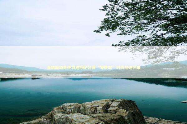 直销渠道免费将成标配公募“零费率”时代加速到来 新闻