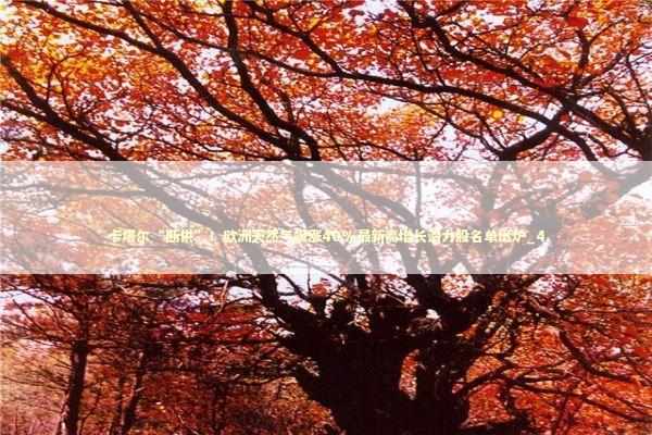 卡塔尔“断供”！欧洲天然气飙涨40%最新高增长潜力股名单出炉_4 新闻