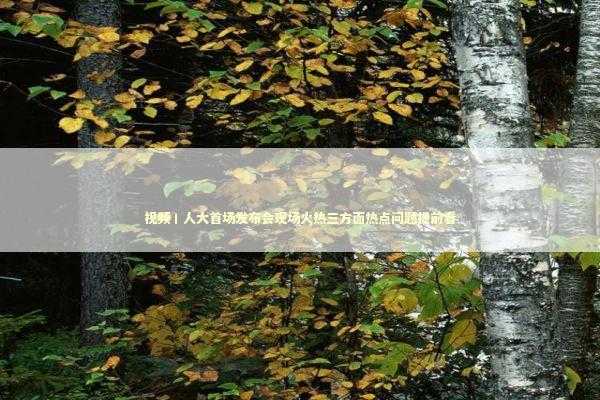 视频丨人大首场发布会现场火热三方面热点问题提前看 新闻