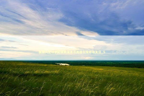 美国人正以创纪录数量离开美国引发市场关注_5 新闻