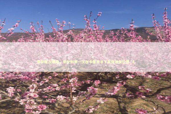 替补屡次建功，谢什科第一次在卡里克手下赢得首发位置_4 新闻