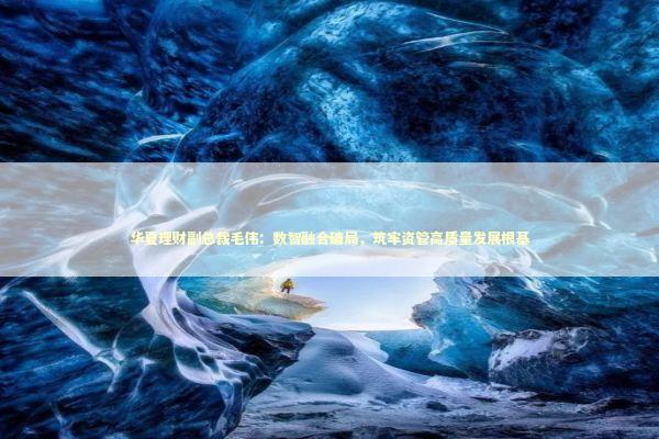 华夏理财副总裁毛伟:数智融合破局,筑牢资管高质量发展根基 华夏理财副总裁毛伟:数智融合破局,筑牢资管高质量发展根基 新闻