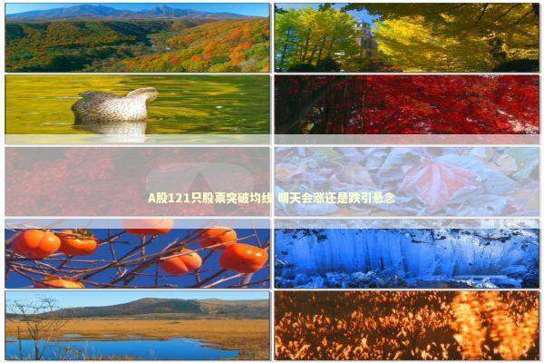 A股121只股票突破均线 明天会涨还是跌引悬念 新闻