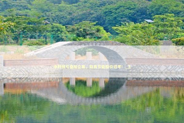 净利预亏叠加立案，双良节能股价迎考！_3 新闻