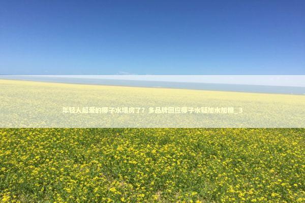 年轻人超爱的椰子水塌房了?多品牌回应椰子水疑加水加糖_3 年轻人超爱的椰子水塌房了?多品牌回应椰子水疑加水加糖_3 新闻