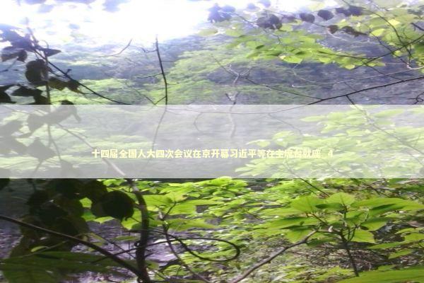 十四届全国人大四次会议在京开幕习近平等在主席台就座_4 新闻